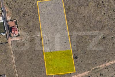 Teren 9.000 mp in Priseaca Intravilan + Extravilan, apr - 3