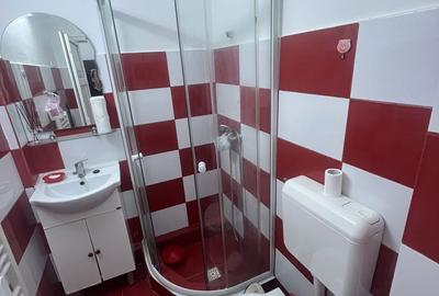Garsonieră în Alexandru cel Bun - 6