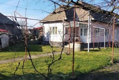 Casă cu 3 camere în Criș - 3