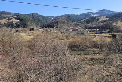 Teren de 28000 mp, în Tulgheș - 1