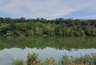 Teren Construcții intravilan de 900 mp, în Brănești - 7