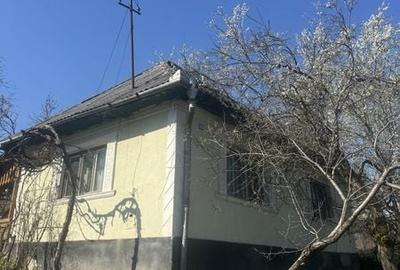 Casă cu 3 camere cu Teren 120 Mp în Băița - 3