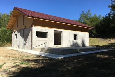 Casa Iedera de Sus | Dambovita - 5