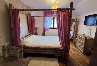 VILA cu specific montan ,Deosebita in Predeal zona Cioplea - 5