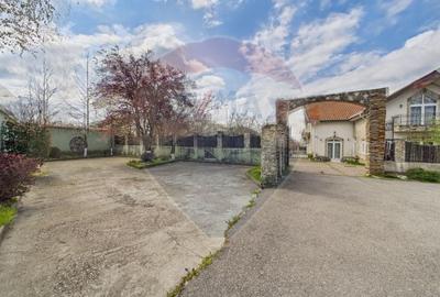 Proprietate specială, de 608 mp, în Mogoșoaia - 31