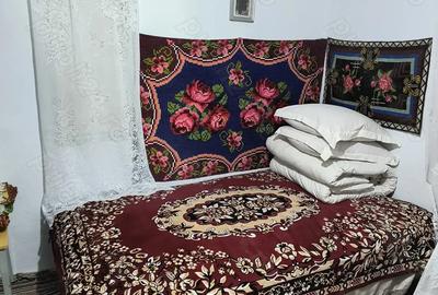 Casa de vinzare In Comuna Ziduri Sat Costieni Buzau la 10 Km de Rm Sarat - 3