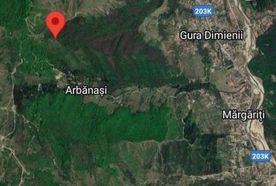 Teren de 660000 mp, în Beceni - 3