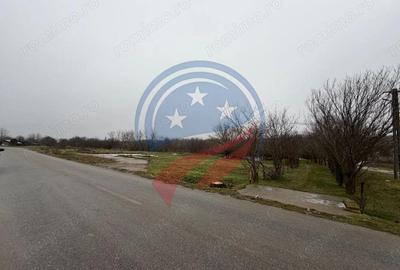 Casă cu 3 camere cu Teren 2540 Mp în Vulpeni - 2