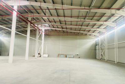 Hala - Drumul Intre Tarlale - Noua - Aviz ISU Hala - Drumul Intre Tarlale - Noua - Aviz ISU - 3