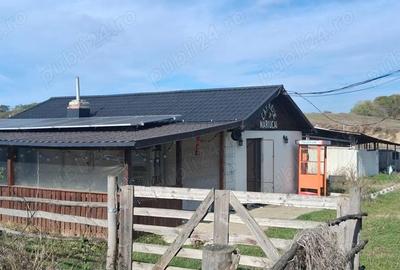 Ferma de vanzare , zona Dambu - 7