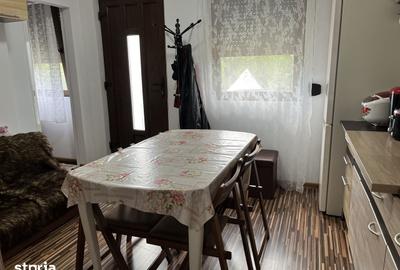 Casă cu 2 camere cu Teren 3000 Mp în Vaideeni - 12