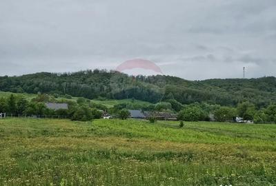 Teren de 1495 mp, în Dobreni - 16