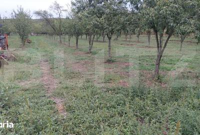 Casă cu 6 camere cu Teren 873 Mp în Tătărani