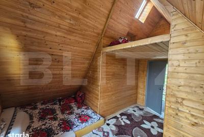 Casă cu 4 camere cu Teren 4565 Mp în Avram Iancu - 13