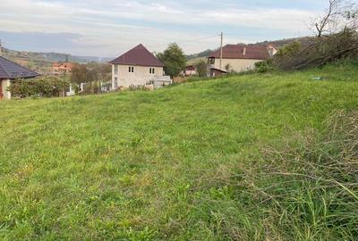 Teren intravilan de vânzare - ideal pentru construcția casei tale! - 3