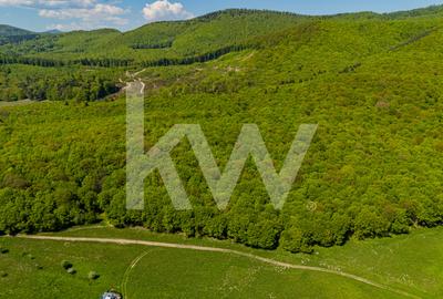 Teren agricol extravilan de 1500 mp, în Codlea - 6