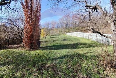 Proprietate premium, intimitate, liniste in Gura Vaii 4000 mp teren - 22