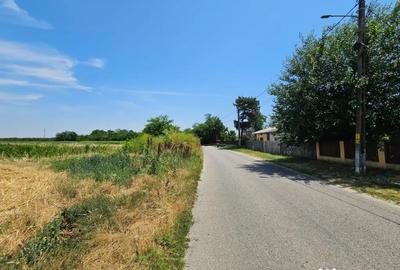 Teren de 2268 mp, în Potlogeni-Vale - 3