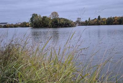 Duplex cu 12 camere cu Canalizare în Băneasa - 26