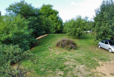 TEREN 1869 MP, CADRU NATURAL SUPERB, TOATE UTILITATILE - 7