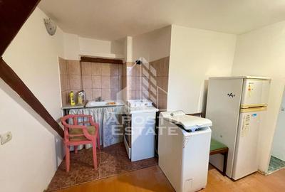 Apartament 2 camere, petfriendly, centrala proprie, Iosefin - 6