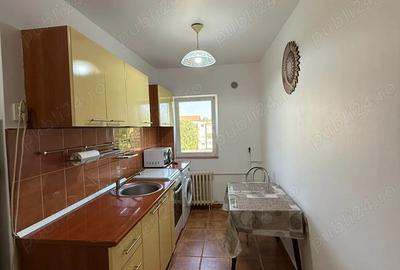 Apartament o camera Lipovei - 4
