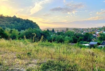 Teren de vânzare Cisnădioara – 2 parcele a câte 1.250 mp, utilități pe teren - 2