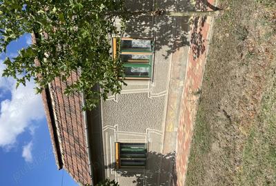 Casa de vanzare in Sannicolaul Mare - 8