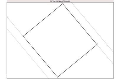 Spațiu comercial, în Șagului