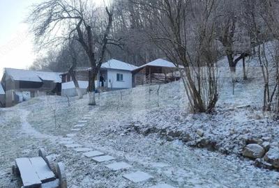 Casă cu 2 camere cu Teren 2300 Mp în Cosminele