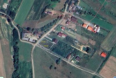 Teren pentru casa in Bozanta Mica - 6