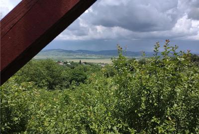 Casă cu 7 camere cu Teren 4000 Mp în Podenii Vechi - 6