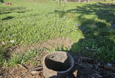 Casa de in Mihailesti I Posta Casa de in Mihailesti I Posta - 5