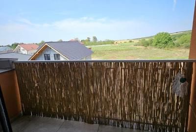 Apartament cu 2 camere decomandat în Oncea - 8