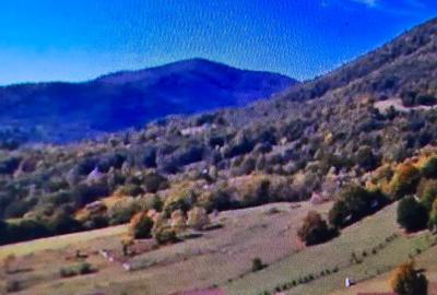Teren de vanzare Lepsa-Gresu, 55000 mp - 11
