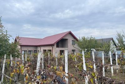 CASA P+M , 150 mp, TEREN 3000 MP ,FILIASI( FRATOSTITA) , COM - 10