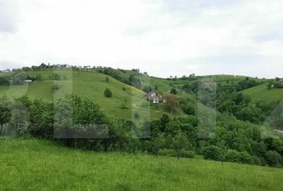 Teren de 12928 mp, în Central - 5