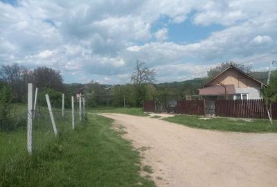 Teren de 1700 mp, în Ogretin - 5
