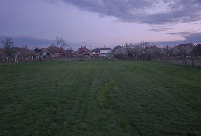 Vand casa cu teren - 2