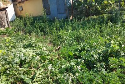 Casă cu 3 camere în 6 Vânători - 6