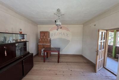 Casă individuală cu 4 camere cu Teren 2880 Mp în Giulvăz - 7