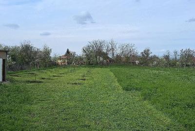 Teren de 800 mp, în Limpeziș - 1