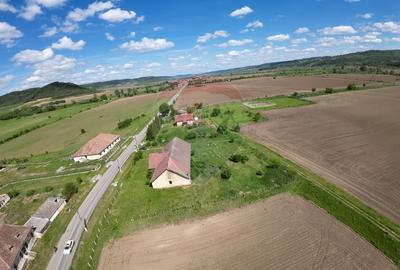 Teren Construcții intravilan de 3436 mp, în Hoghilag - 4