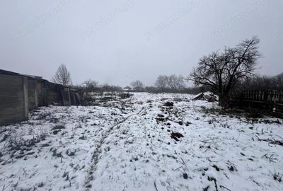 Teren de 1740 mp, în Dudeștii Noi - 5