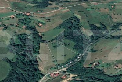 Teren, 12.928 mp, Poiana Marului, Bra?ov - 2
