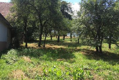 Casă cu Teren 6500 Mp în Dretea - 5