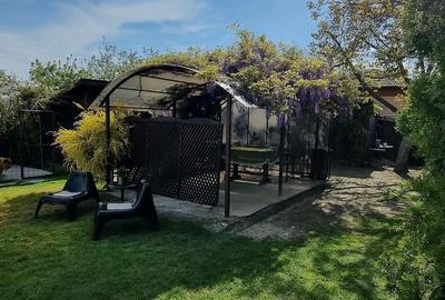 Casă cu Teren 1500 Mp în Stolnici - 5