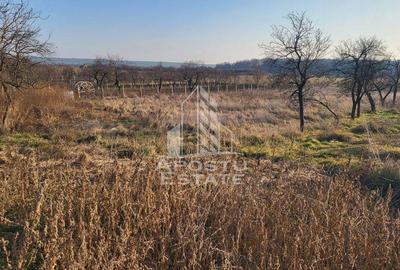 Teren de 3844 mp, în Pișchia - 3