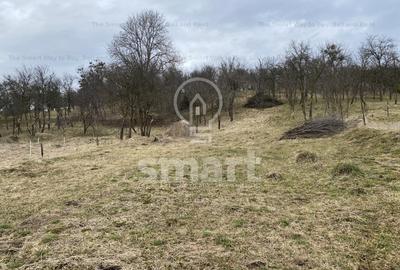 Teren intravilan cu CF 5400mp front 17 Savadisla jud Cluj - 14