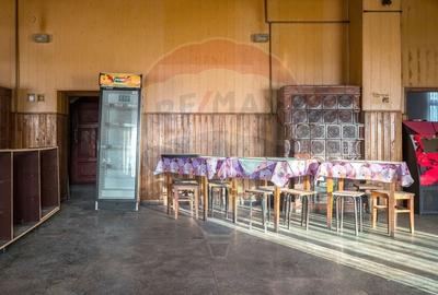Spatiu Comercial de Inchiriat - Pozitie Premium in Centrul Comunei Bod - 10